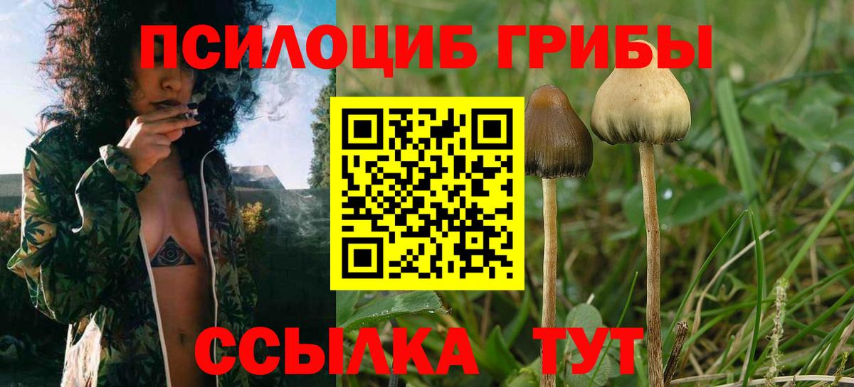 Галлюциногенные грибы ЛСД  Вход с VPN  Красногорск 